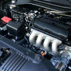 Motor